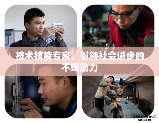 技术技能专家,引领社会进步的不竭动力