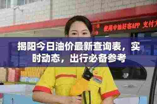 揭阳今日油价最新查询表，实时动态，出行必备参考