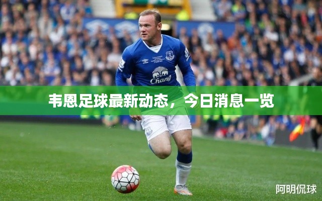 韦恩足球最新动态,今日消息一览