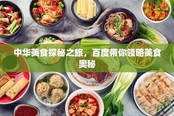 中华美食探秘之旅,百度带你领略美食奥秘
