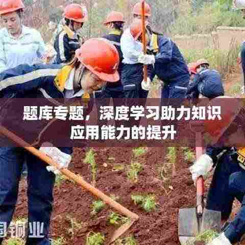 题库专题,深度学习助力知识应用能力的提升