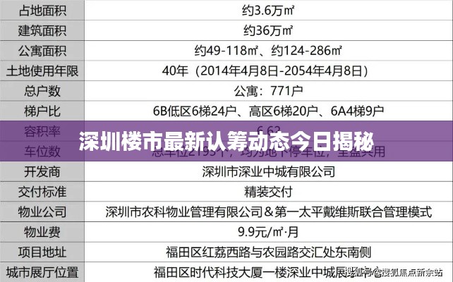 深圳楼市最新认筹动态今日揭秘