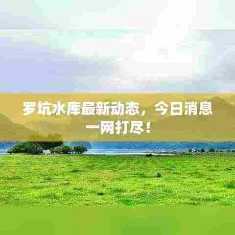 罗坑水库最新动态，今日消息一网打尽！