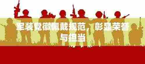 军装党徽佩戴规范,彰显荣誉与担当