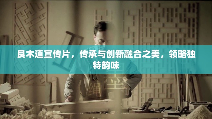 良木道宣传片，传承与创新融合之美，领略独特韵味