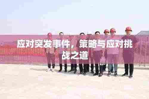 应对突发事件,策略与应对挑战之道