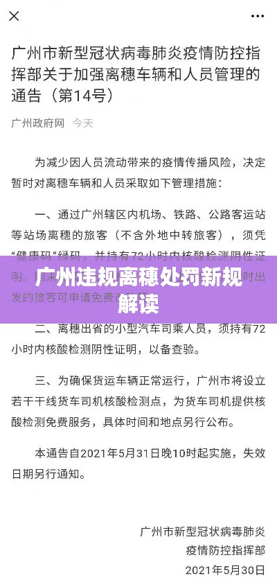 广州违规离穗处罚新规解读