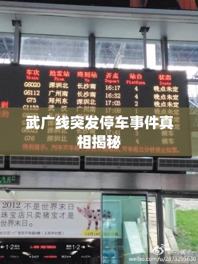 武广线突发停车事件真相揭秘