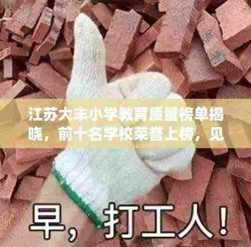 江苏大丰小学教育质量榜单揭晓,前十名学校荣誉上榜,见证教育质量之巅