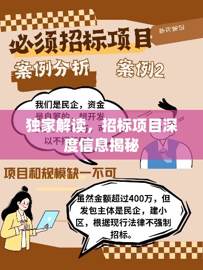 独家解读,招标项目深度信息揭秘