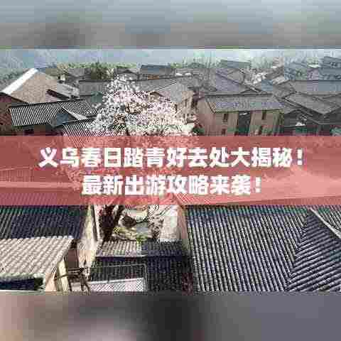 义乌春日踏青好去处大揭秘！最新出游攻略来袭！