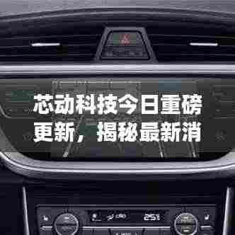 芯动科技今日重磅更新,揭秘最新消息!