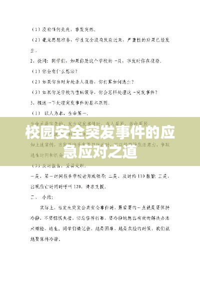 校园安全突发事件的应急应对之道