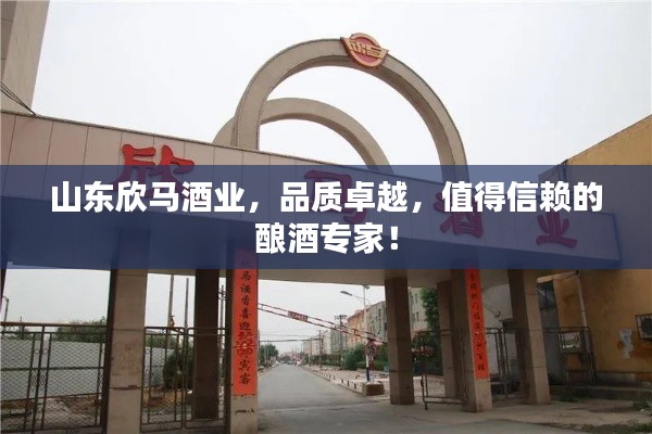 山东欣马酒业,品质卓越,值得信赖的酿酒专家!