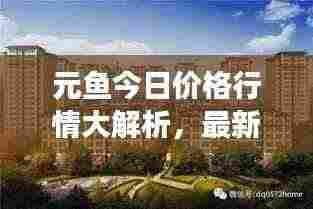 元鱼今日价格行情大解析,最新市场动态,一览无余!