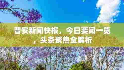 普安新闻快报,今日要闻一览,头条聚焦全解析