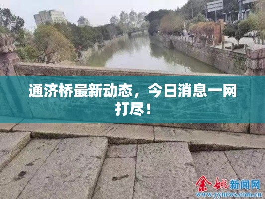 通济桥最新动态，今日消息一网打尽！