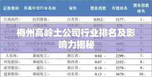 梅州高岭土公司行业排名及影响力揭秘