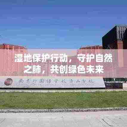 湿地保护行动，守护自然之肺，共创绿色未来