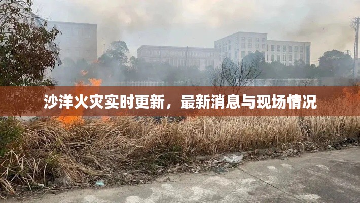 沙洋火灾实时更新，最新消息与现场情况