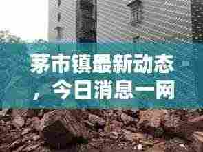 茅市镇最新动态，今日消息一网打尽！