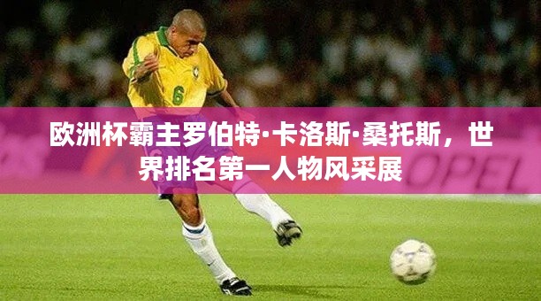 欧洲杯霸主罗伯特·卡洛斯·桑托斯,世界排名第一人物风采展