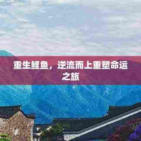 重生鲤鱼,逆流而上重塑命运之旅